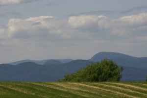 Hayfields, Lake Champlain Valley