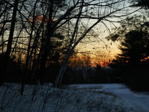 Winter Sunset