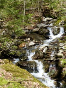 Stream In Spring