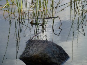 Jordan Pond, Acadia National Park