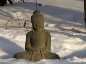 Snowy-Buddha