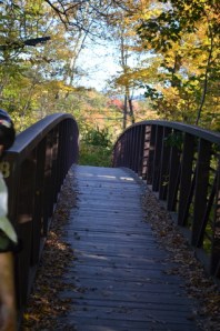Autumn_Bridge_Stowe