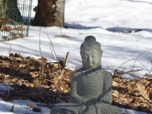Snow-Buddha