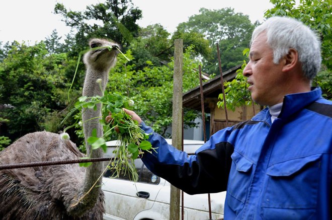 Naoto Matsumura, Guardian of Fukushima’s Animals