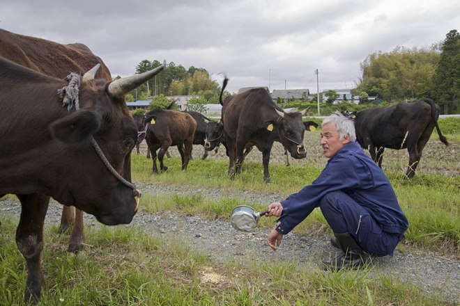 Naoto Matsumura, Guardian of Fukushima’s Animals