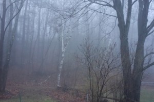 Late_Winter_Fog