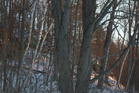 Binaries and the Shaman’s&nbsp;Dreaming