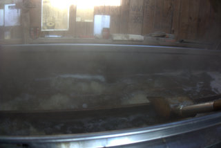 Boiling_Sap