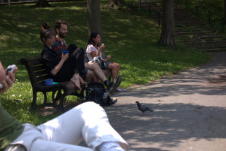 Quietly Sacred: Culture, Belonging, and the Longest Day of the Year