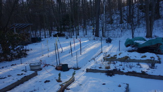 The Past in the&nbsp;Present