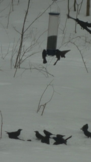 The Teacher’s Task