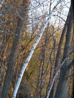 Report  from Vermont: April&nbsp;Showers