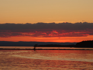 Independence Day Musings