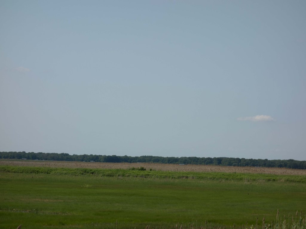 Kindness as Resistance