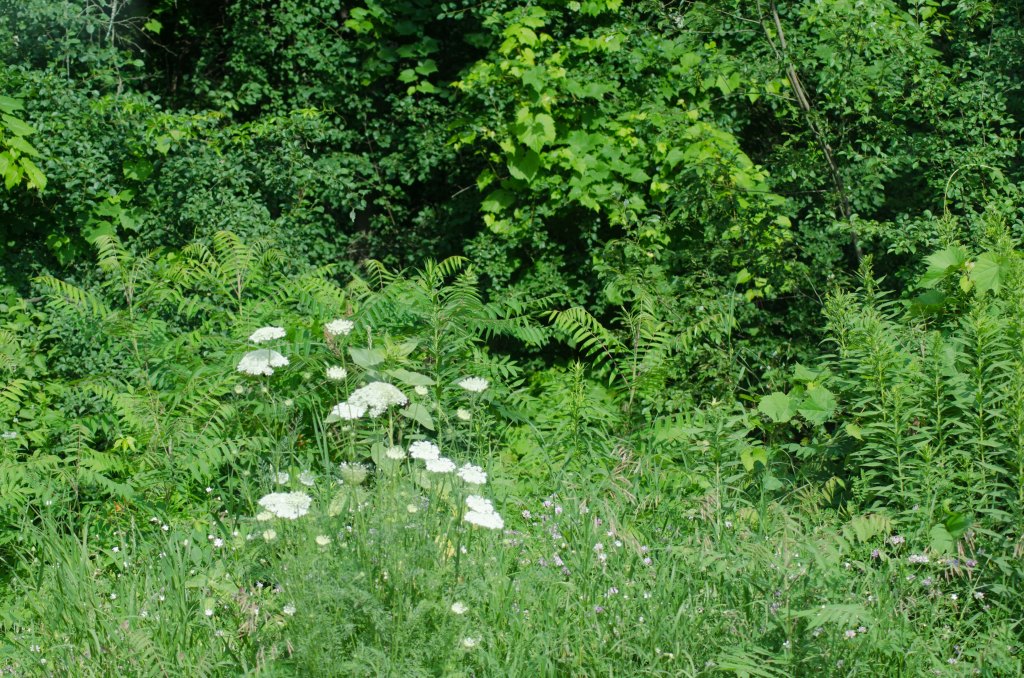 Young People and the Weight of the&nbsp;World