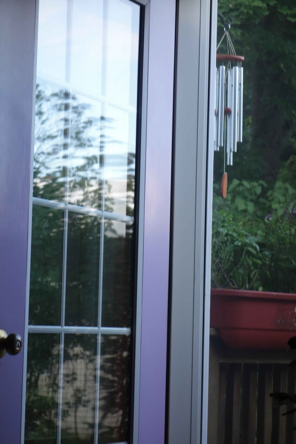 Shamans: Joyfully Singing in the Coal&nbsp;Mine