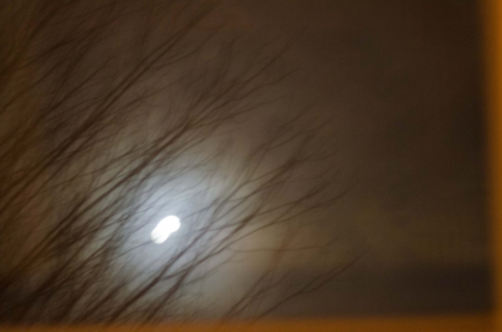 Intersectionality, Shamanism, and&nbsp;Disability