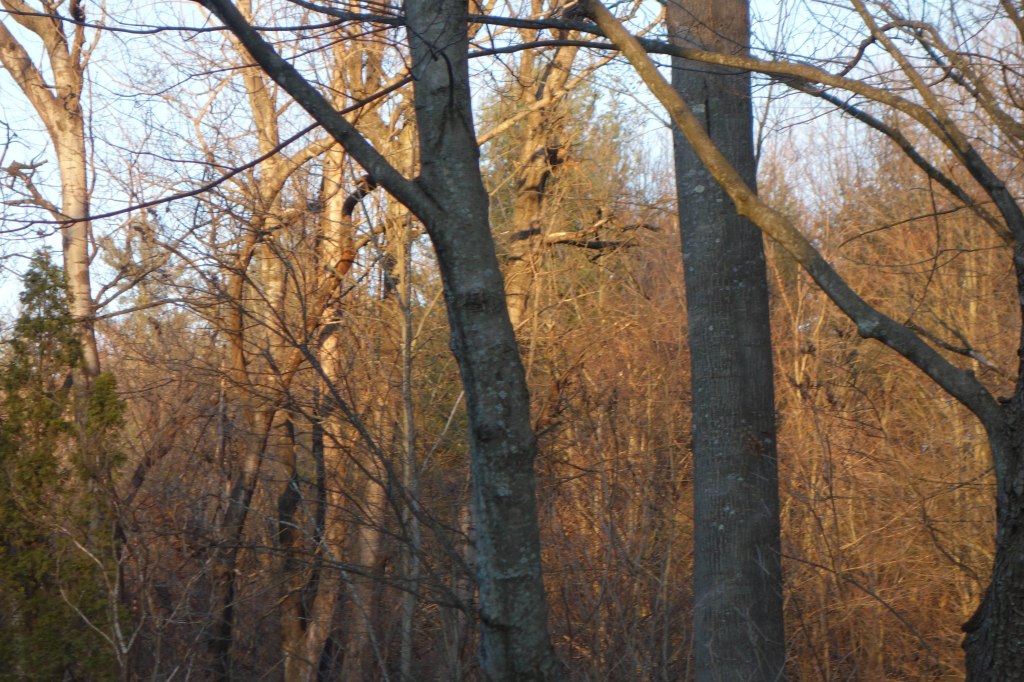 Arts As Alternative&nbsp;Practices