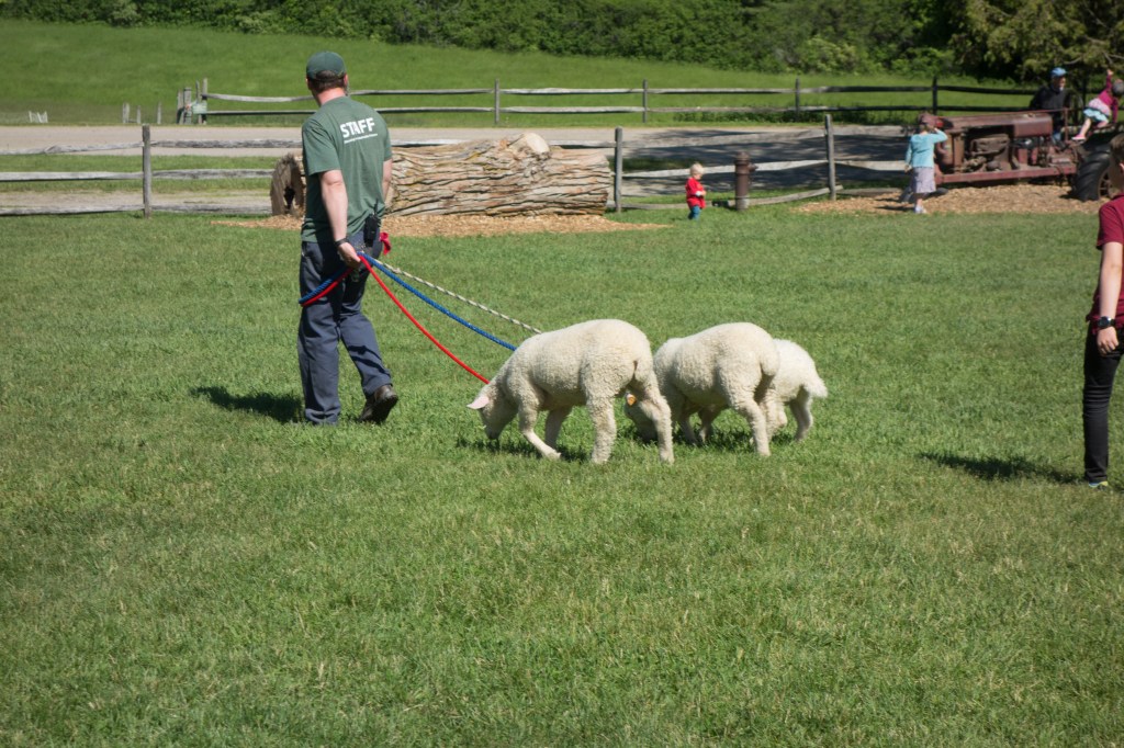 The Persistence of&nbsp;Repetition