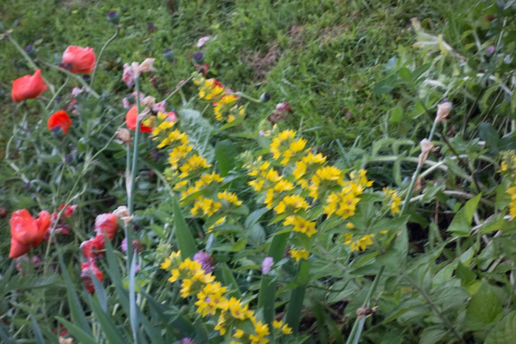 On Doing what One&nbsp;Can