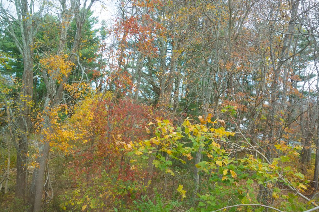 November of the Spirits