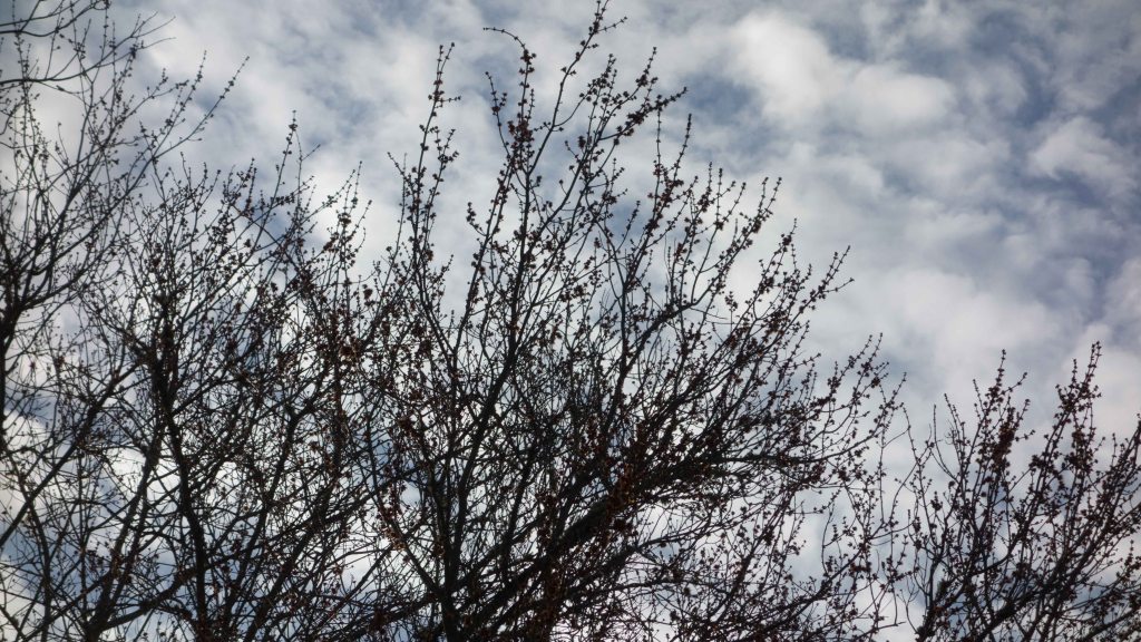 Letter to the Settler Community During Hard Times