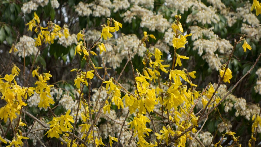 Art and Spirituality in Difficult&nbsp;Times