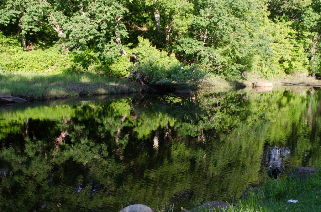 This Is How It Is For&nbsp;Me