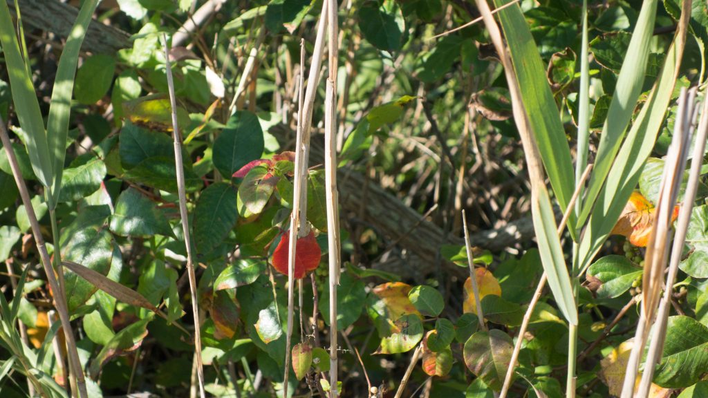 Staring into the Abyss