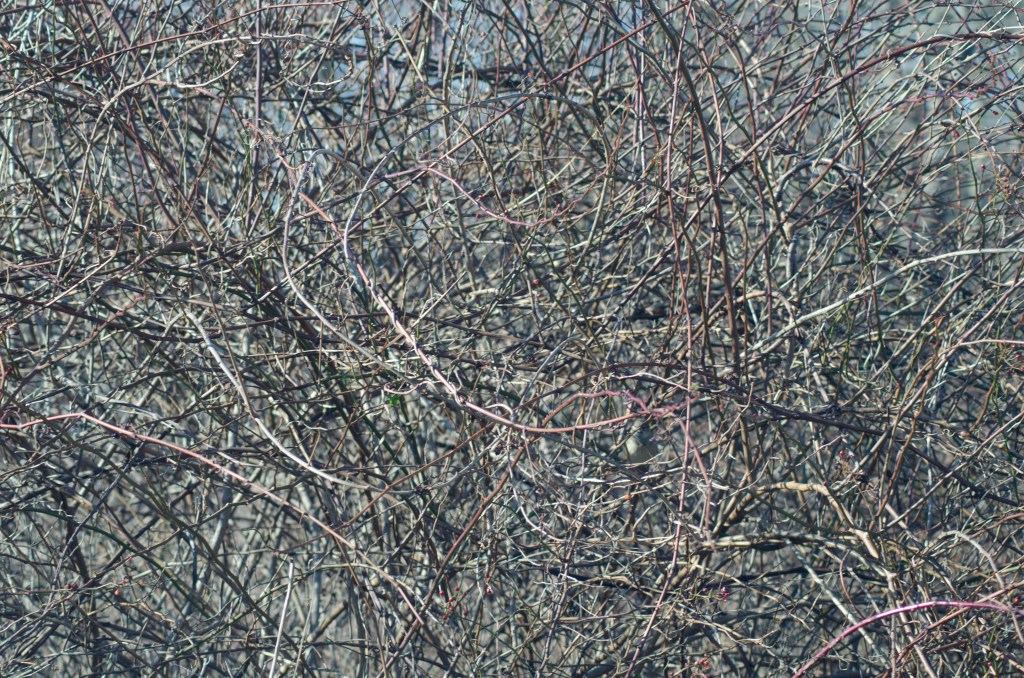 On Colonialism, Race, Identity, and&nbsp;Money