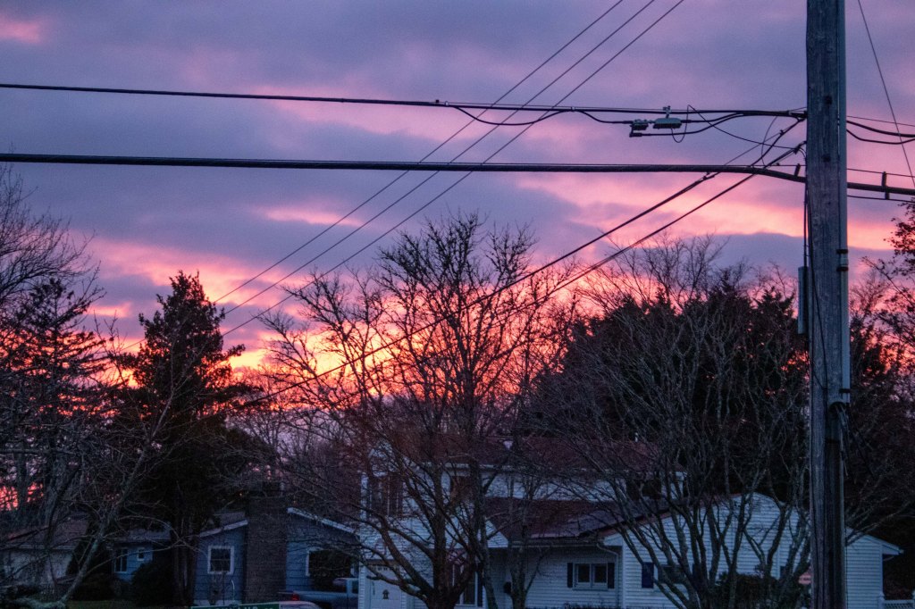 Last (Hopefully) Covid&nbsp;Update