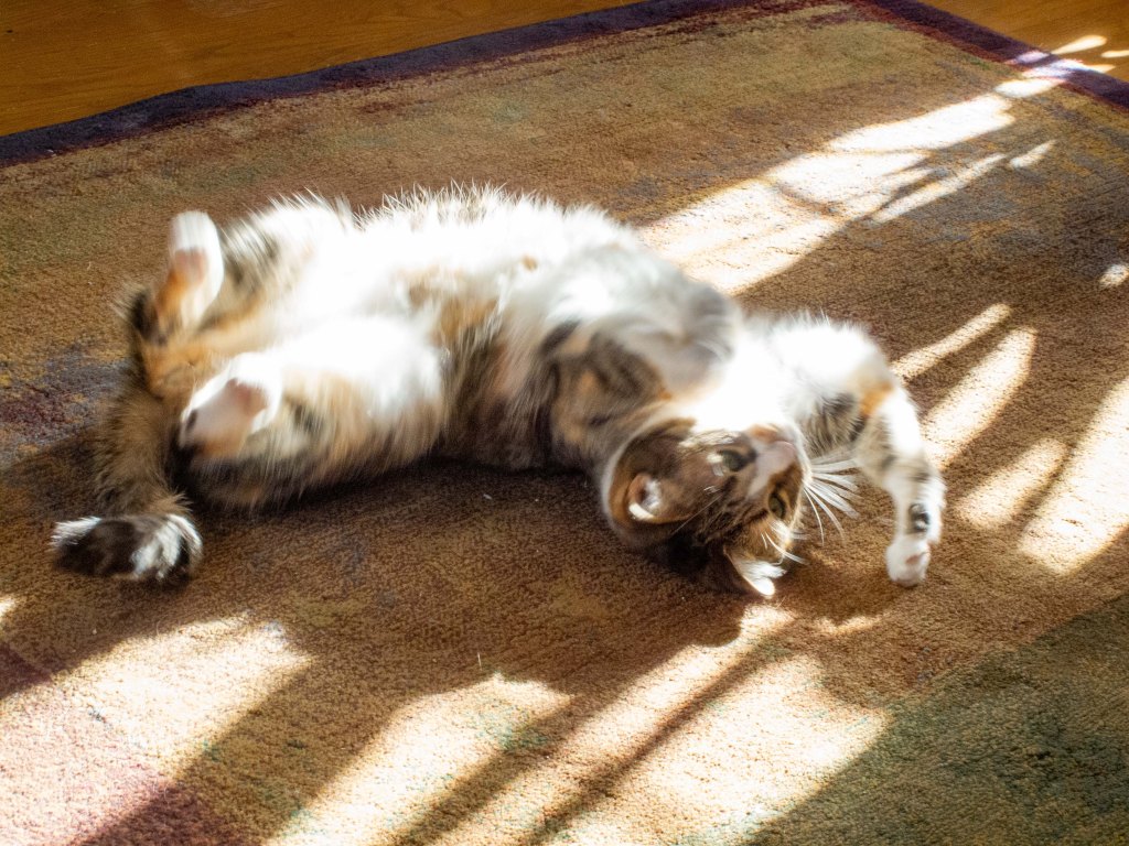 Retirement Approaches