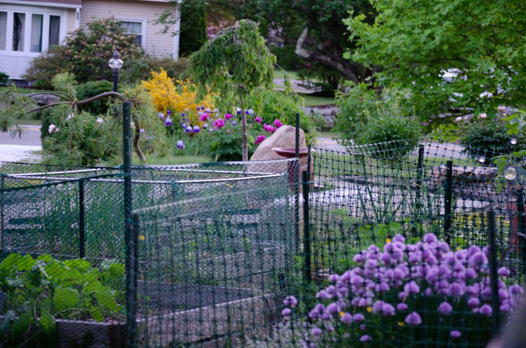 Memorial Day Afterthoughts