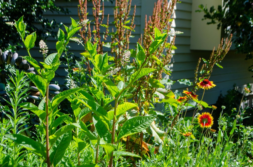 A New World&nbsp;Arising