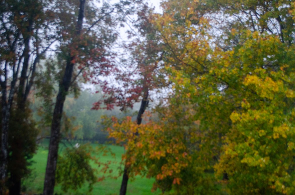 The Kitchen Saga&nbsp;Continues