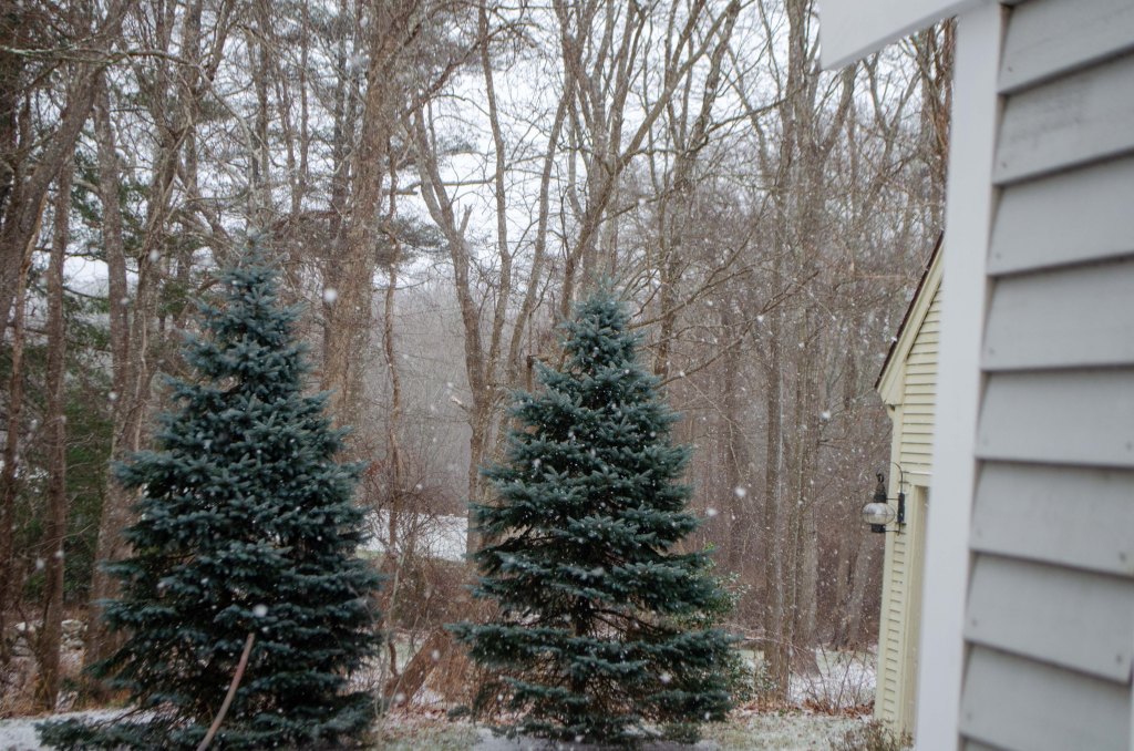 Awaiting The Turning Year