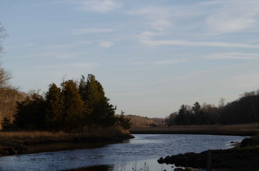 Early May and&nbsp;Migration