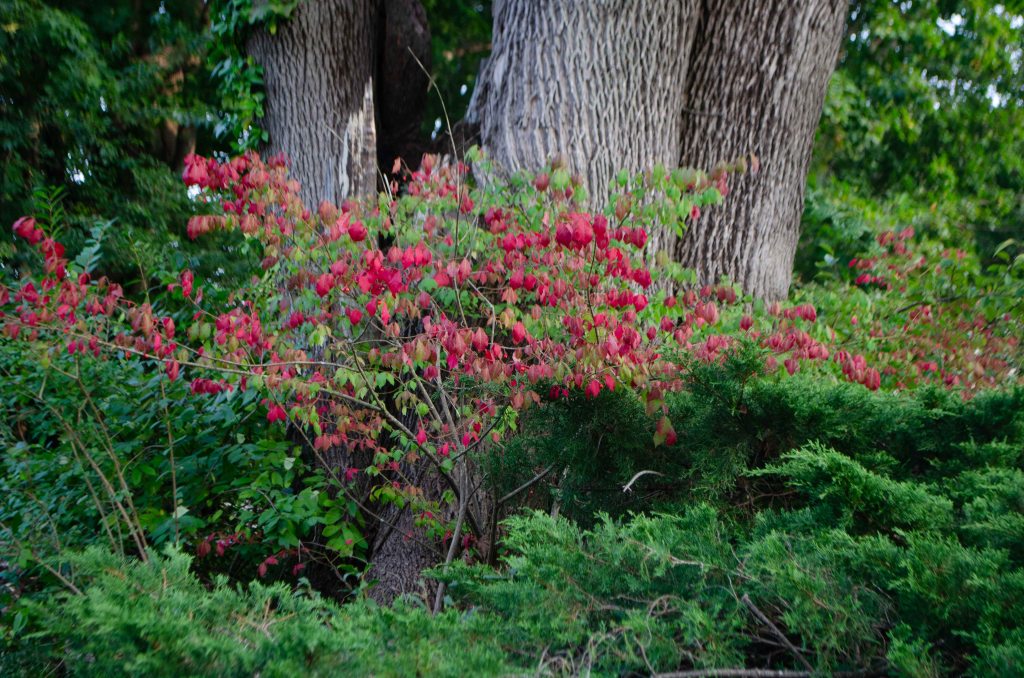 Beneath the Noise, Silence&nbsp;Grows