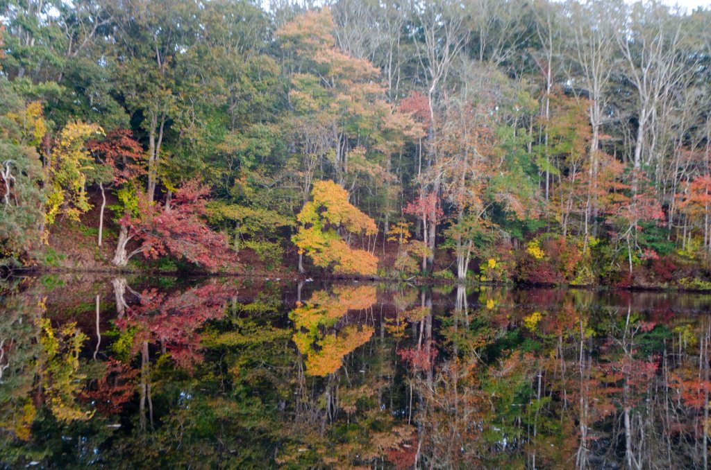 Thanksgiving Approaches