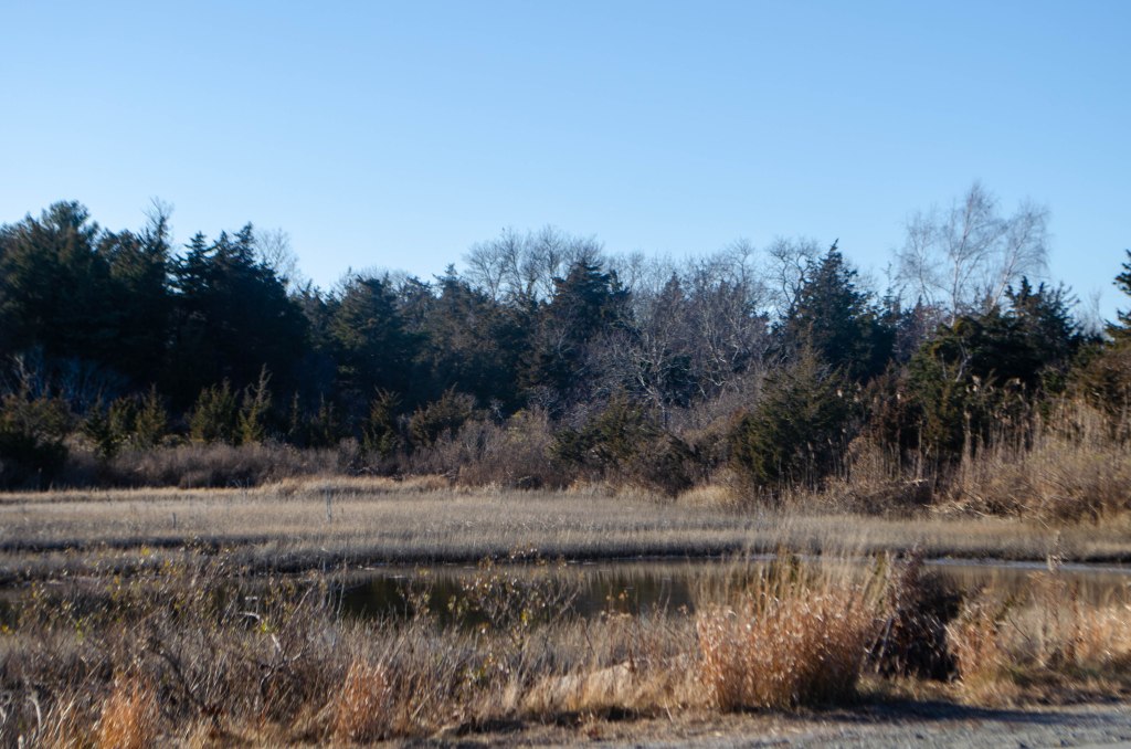 We Are All&nbsp;Stories