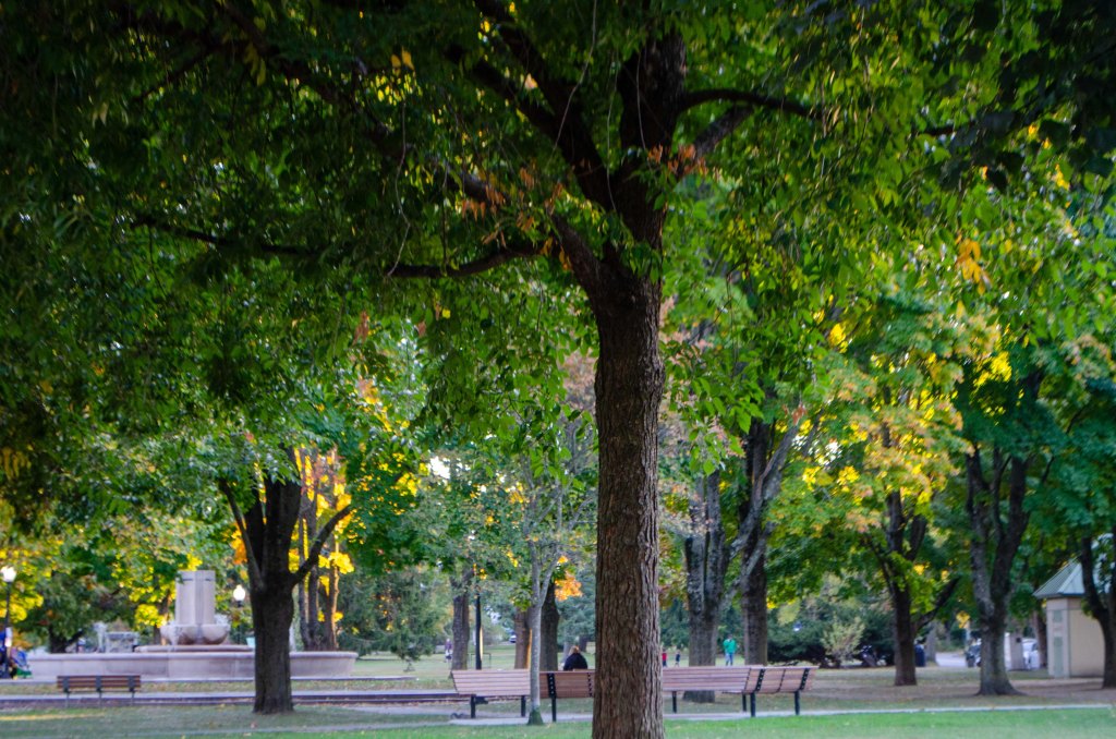 Self Care in Rabid&nbsp;Times