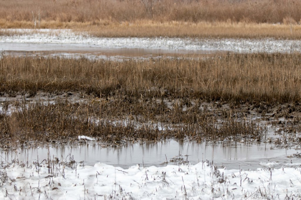 Christmas Approaches