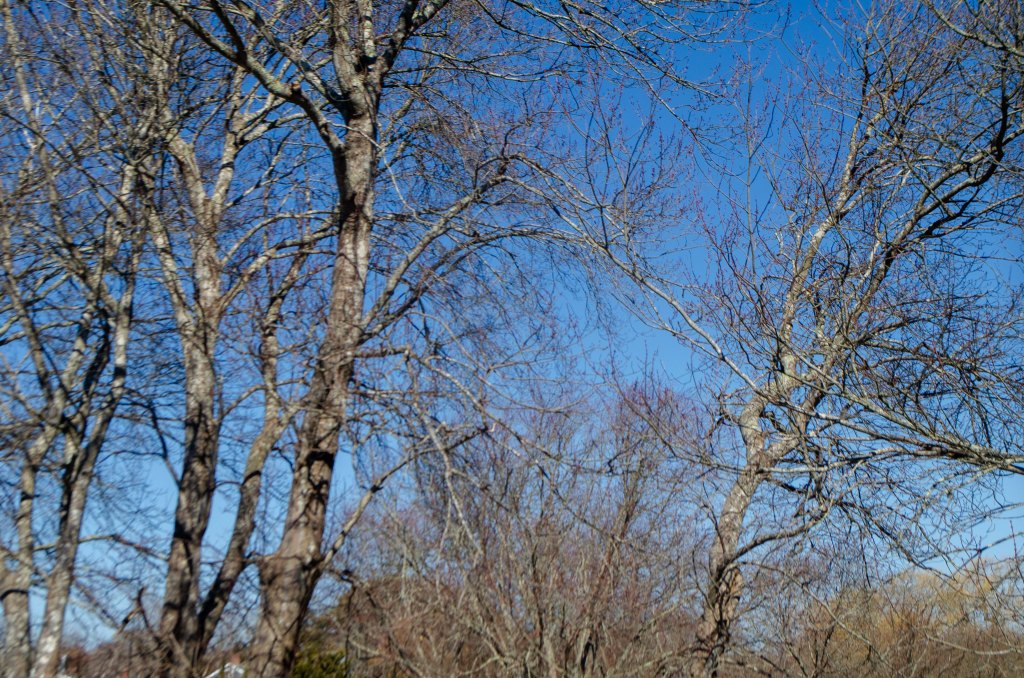 Between Winter and Spring