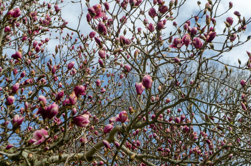 A Very Smart&nbsp;Cat