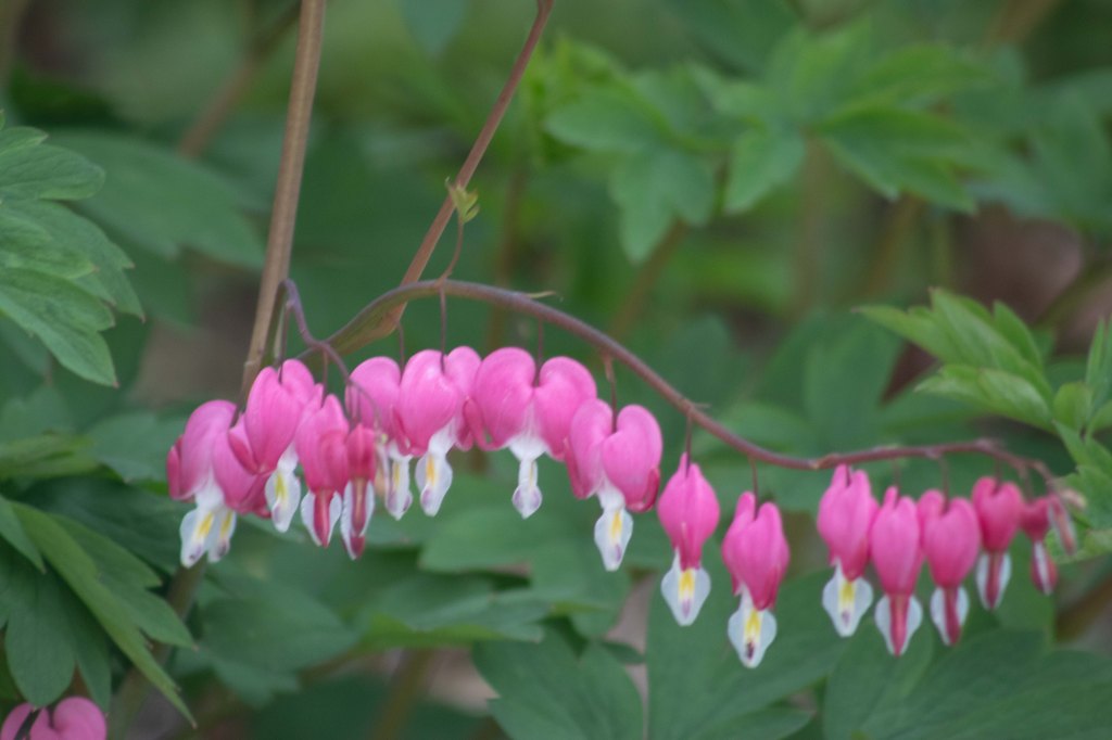 On Not Throwing&nbsp;Stones