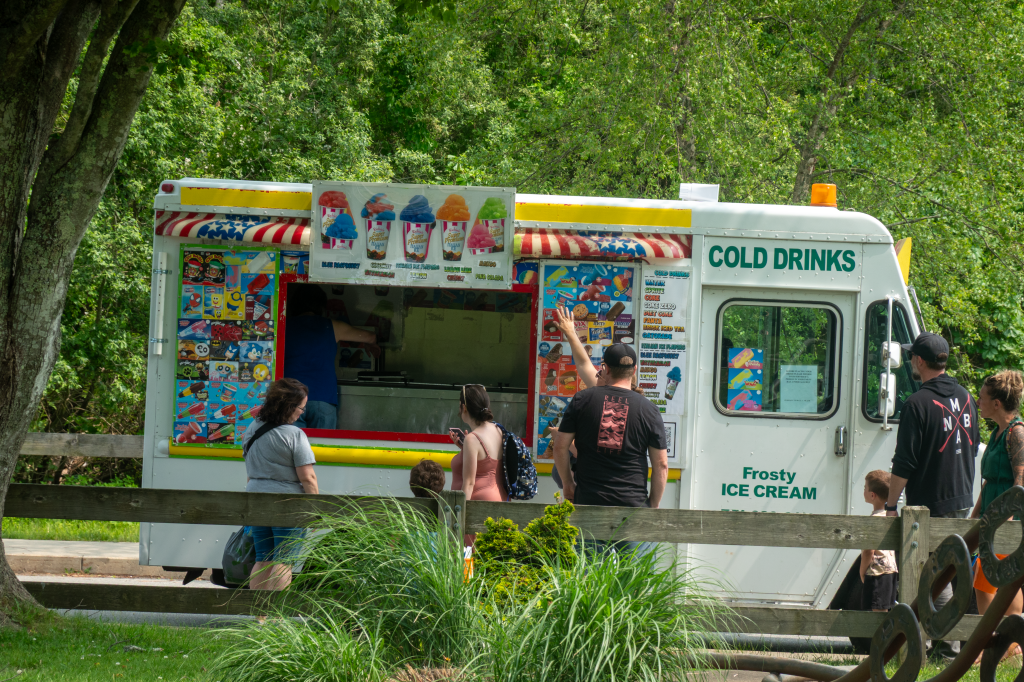 Early Summer Morning