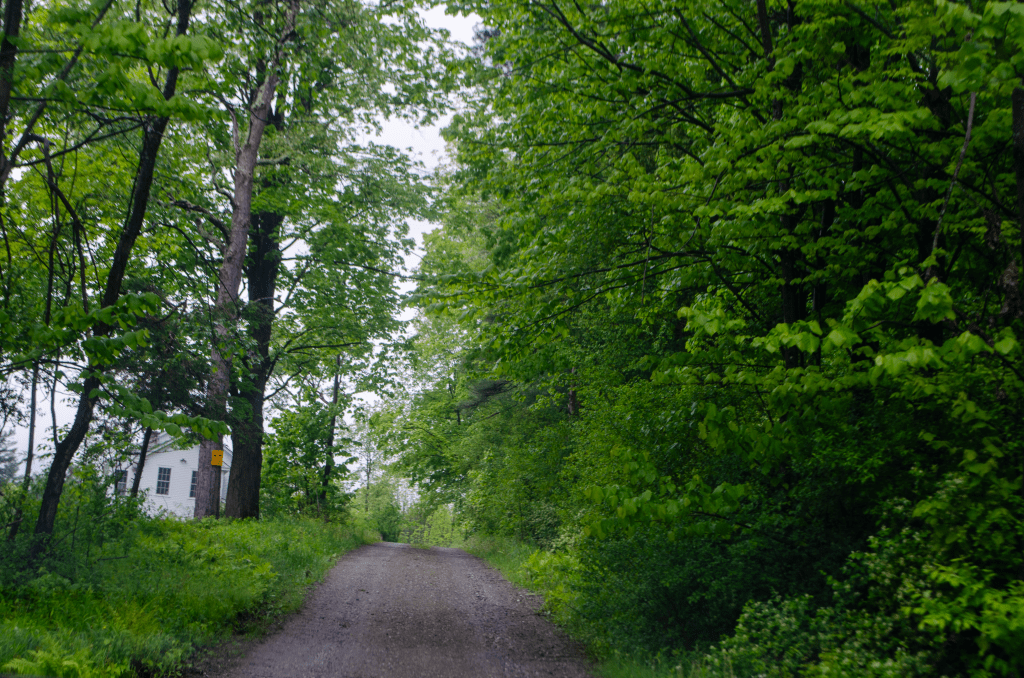 June and May&nbsp;Sarton