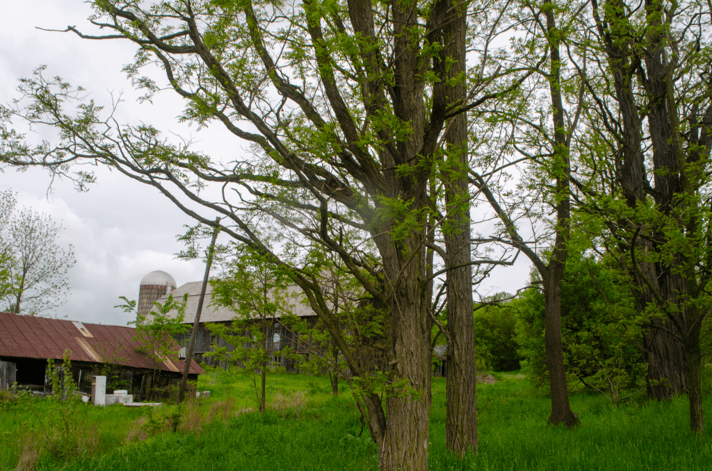 On May Sarton’s Big Questions