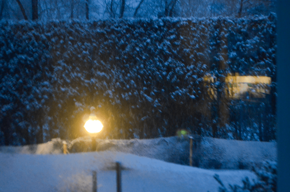 A Very Long&nbsp;View